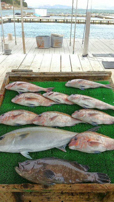 海の釣堀 海恵 釣果