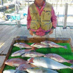 海の釣堀 海恵 釣果