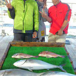 海の釣堀 海恵 釣果