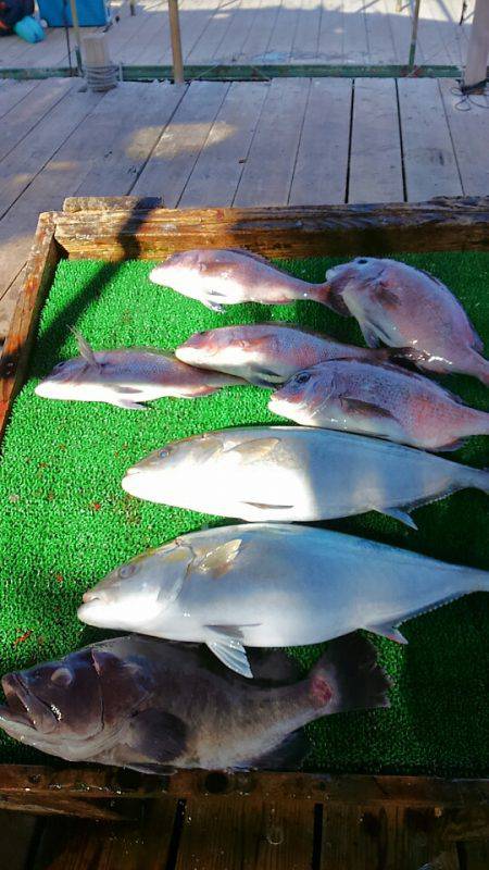 海の釣堀 海恵 釣果