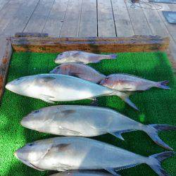 海の釣堀 海恵 釣果