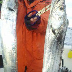 サンマリン 釣果