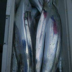 サンマリン 釣果