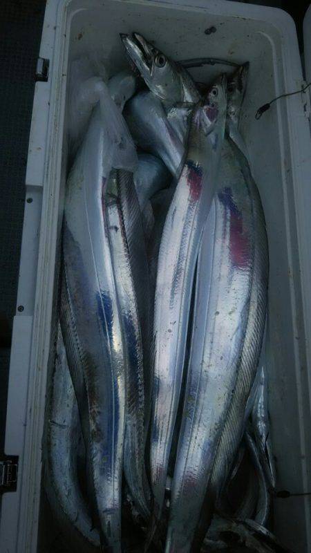 サンマリン 釣果