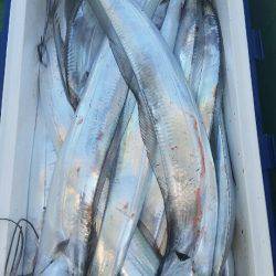 金沢八景鴨下丸 釣果