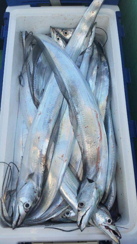 金沢八景鴨下丸 釣果