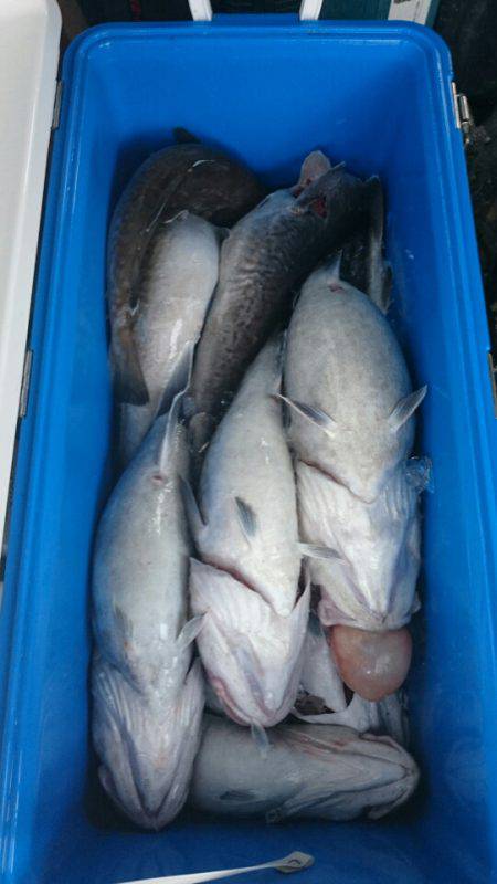 海龍丸（石川） 釣果