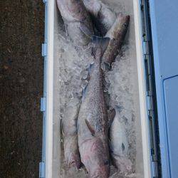 海龍丸（石川） 釣果