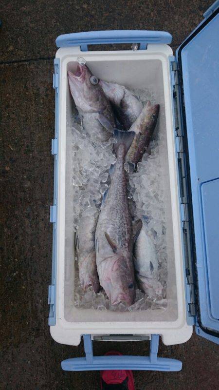 海龍丸（石川） 釣果