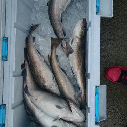 海龍丸（石川） 釣果