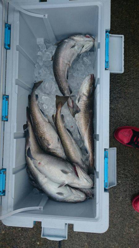 海龍丸（石川） 釣果