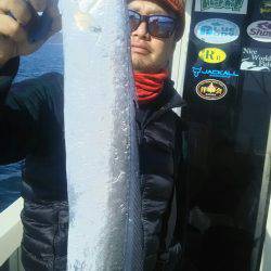 サンマリン 釣果