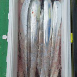 金沢八景鴨下丸 釣果