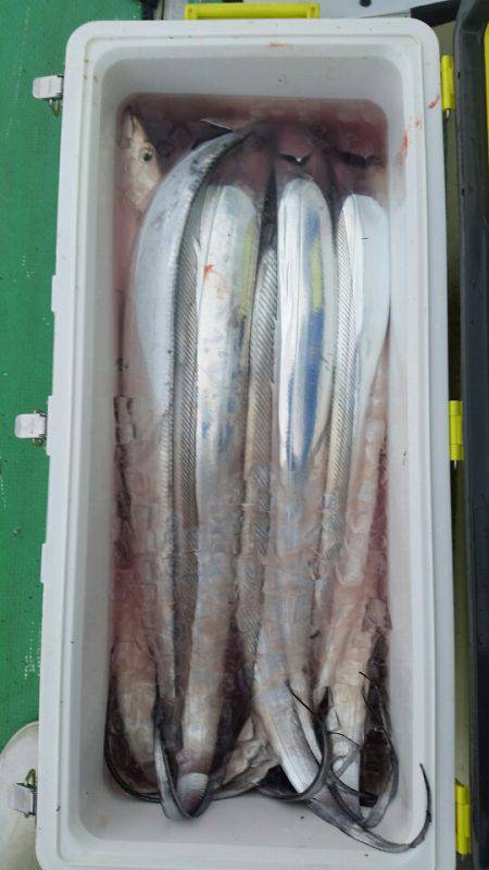 金沢八景鴨下丸 釣果