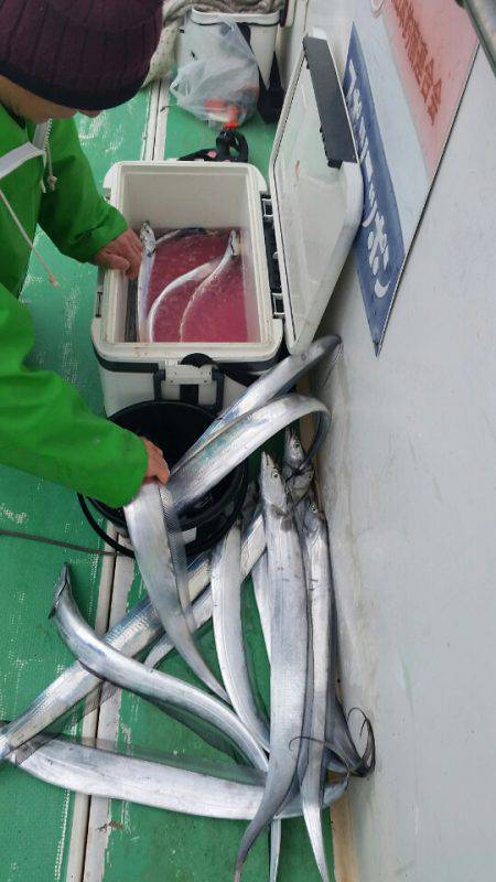 金沢八景鴨下丸 釣果