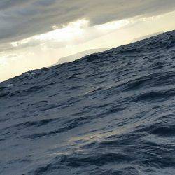 金沢八景鴨下丸 釣果