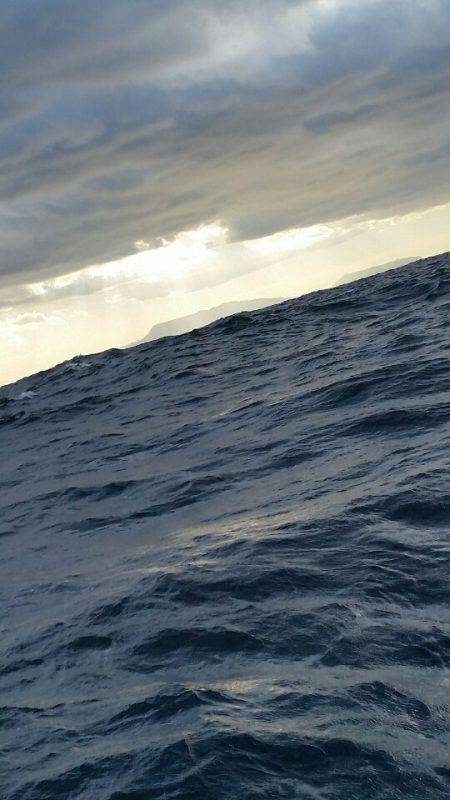 金沢八景鴨下丸 釣果