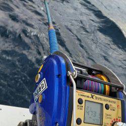 金沢八景鴨下丸 釣果