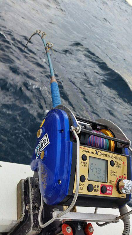 金沢八景鴨下丸 釣果