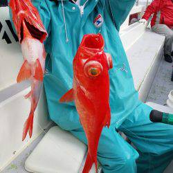 金沢八景鴨下丸 釣果