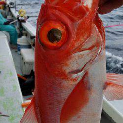 金沢八景鴨下丸 釣果