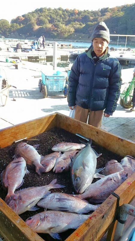 海の釣堀 海恵 釣果