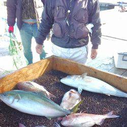 海の釣堀 海恵 釣果
