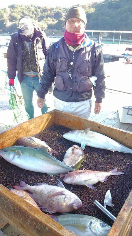 海の釣堀 海恵 釣果