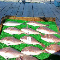 海の釣堀 海恵 釣果