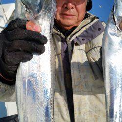 金沢八景鴨下丸 釣果