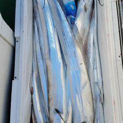 金沢八景鴨下丸 釣果