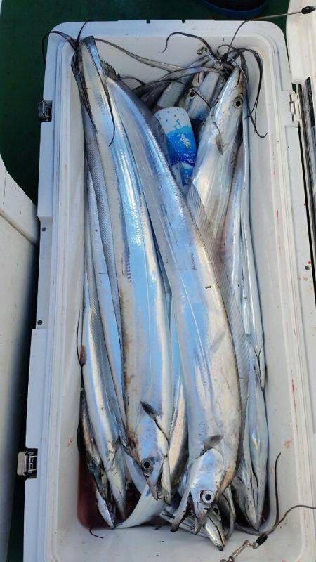 金沢八景鴨下丸 釣果