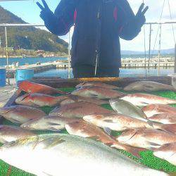 海の釣堀 海恵 釣果