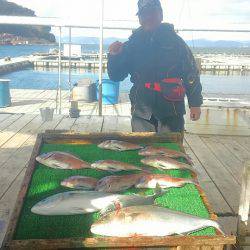 海の釣堀 海恵 釣果