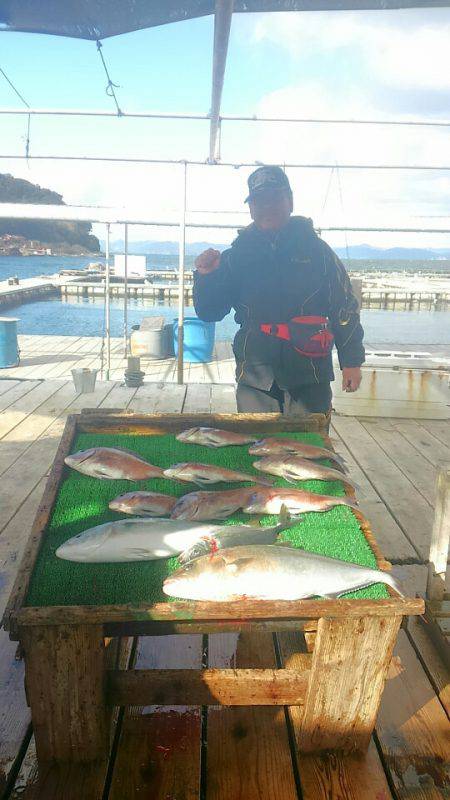海の釣堀 海恵 釣果