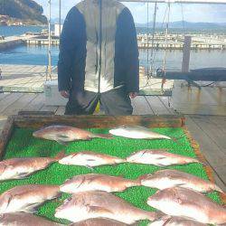 海の釣堀 海恵 釣果