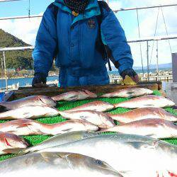 海の釣堀 海恵 釣果