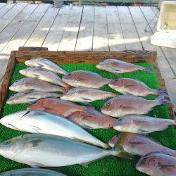 海の釣堀 海恵 釣果