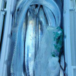 金沢八景鴨下丸 釣果