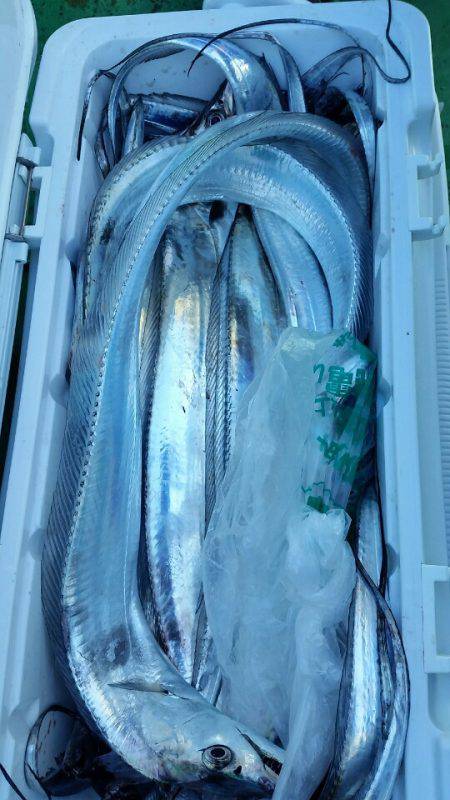 金沢八景鴨下丸 釣果