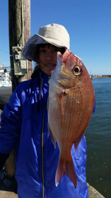 富士丸 釣果