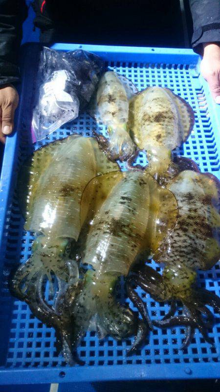 第三共栄丸 釣果