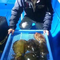 第三共栄丸 釣果