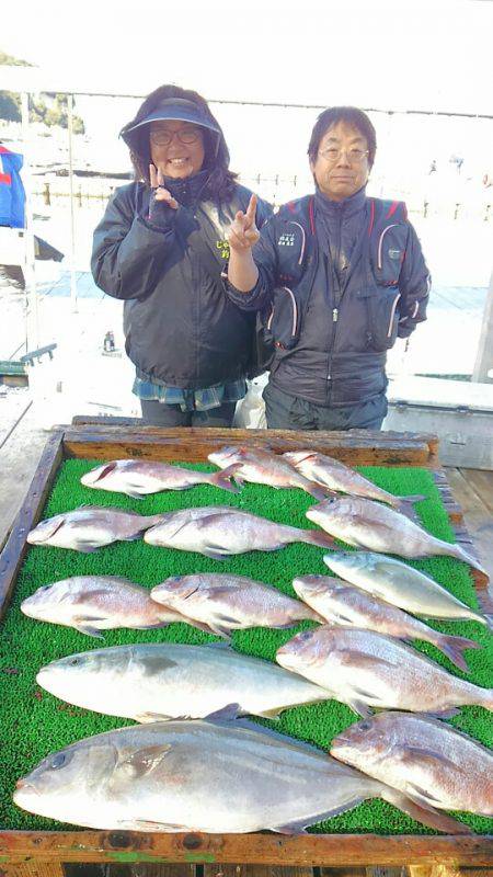 海の釣堀 海恵 釣果