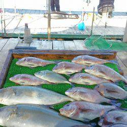 海の釣堀 海恵 釣果