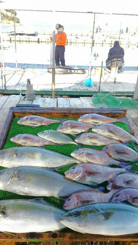 海の釣堀 海恵 釣果
