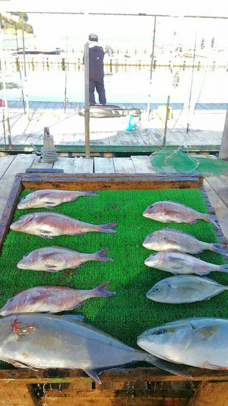 海の釣堀 海恵 釣果