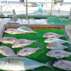 海の釣堀 海恵 釣果