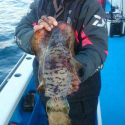 第三共栄丸 釣果