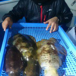 第三共栄丸 釣果